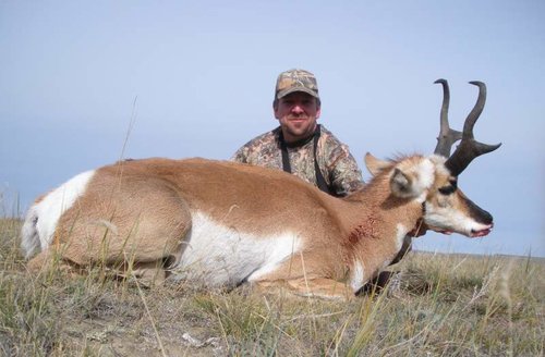 montana antelope 2010 010-2.jpg