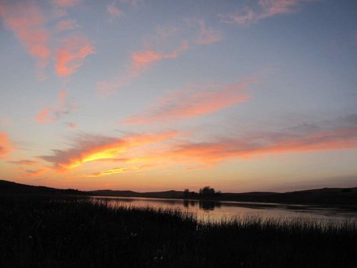IMG_0478.jpg