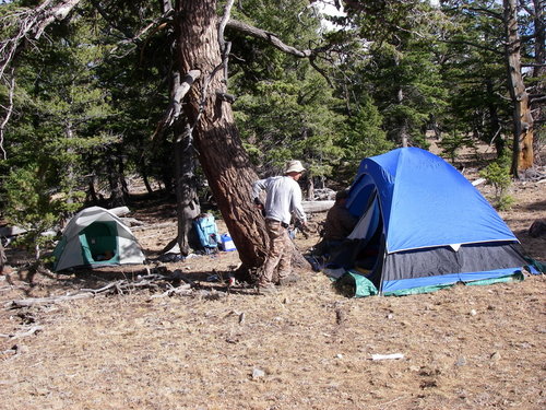 IMGP0271-2.JPG IMGP0271-2.JPG