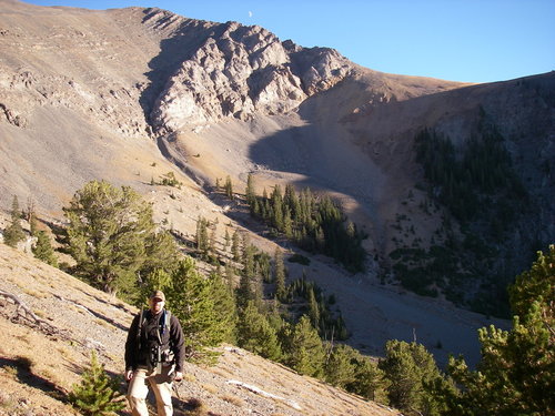 IMGP0263.JPG IMGP0263.JPG