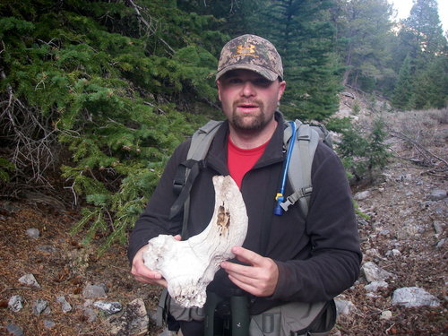 IMGP0267.JPG IMGP0267.JPG