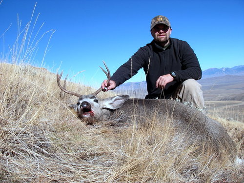 IMGP0260-1.JPG IMGP0260-1.JPG