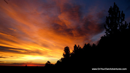 IMG_5791.JPG IMG_5791.JPG