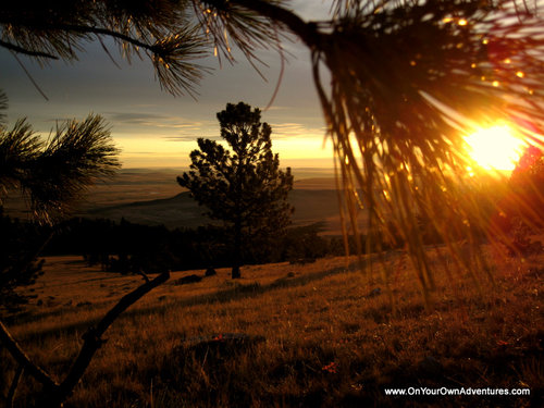 IMG_5797.JPG IMG_5797.JPG