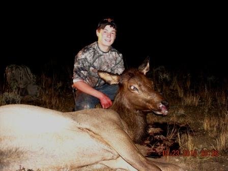 Megal's Cow-1A compressed.jpg