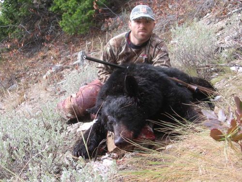 2010 Idaho Bear.jpg