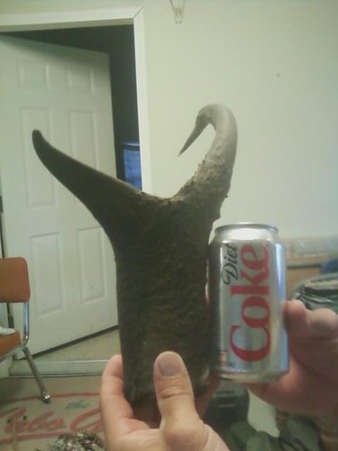 Grandma's antelope Coke.JPG