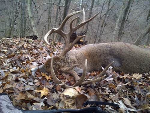 012 As he laid.jpg 012 As he laid.jpg