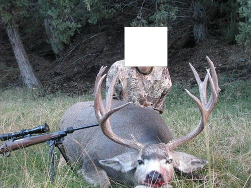 kirs deer 3.JPG