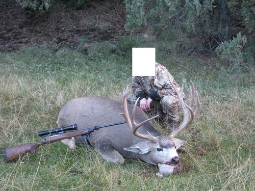 kirs deer 4.JPG