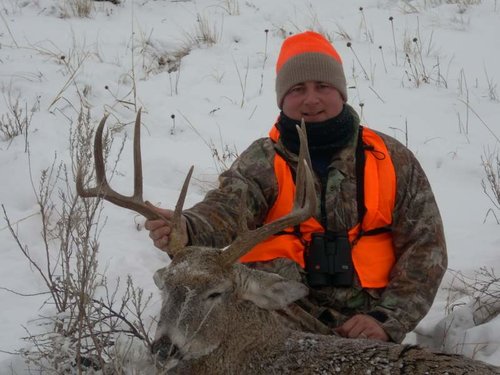 Montana 2010 deer 002.jpg