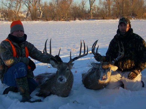 Montana 2010 deer 027.jpg