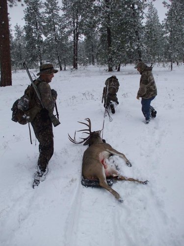 2010 Gabes deer 023.jpg