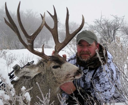 MULE DEER 026 - Copy.jpg MULE DEER 026 - Copy.jpg