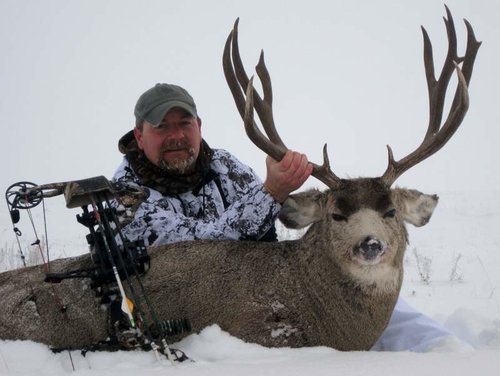 MULE DEER 052 - Copy.jpg MULE DEER 052 - Copy.jpg