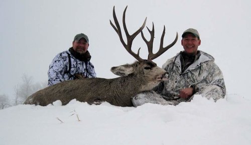 MULE DEER 077 - Copy.jpg