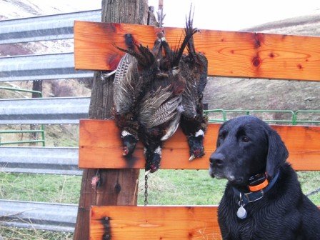 SANY0454.JPG SANY0454.JPG