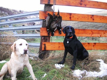 SANY0455.JPG SANY0455.JPG