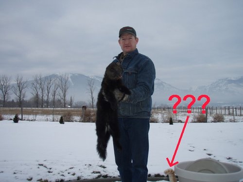 Trappingseason2010002.jpg