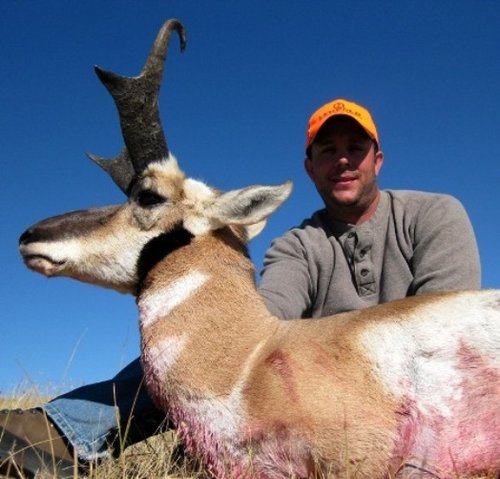 wygOAT2.JPG