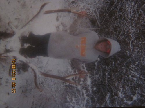 elk1.jpg