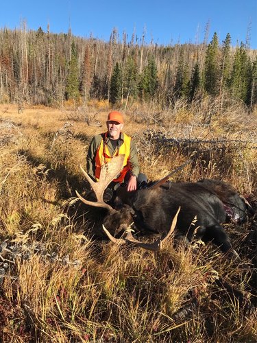 moose 2019 NP.jpg