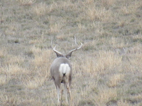 IMG_1755.JPG
