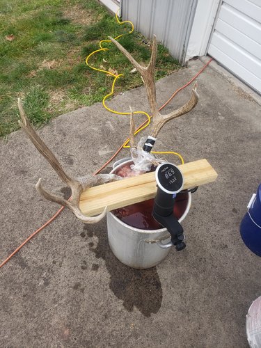 20191118_142844.jpg 20191118_142844.jpg