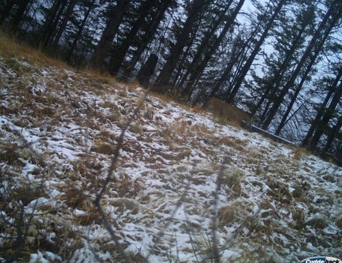 I__00262 (2).JPG I__00262 (2).JPG