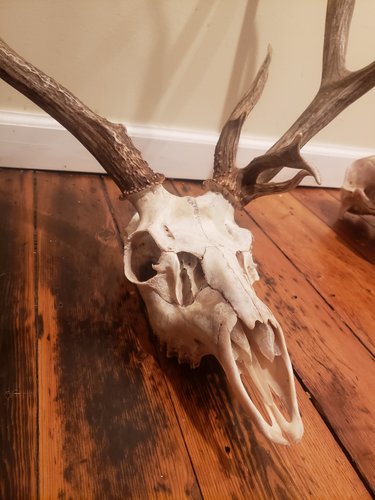 20191120_193118.jpg 20191120_193118.jpg