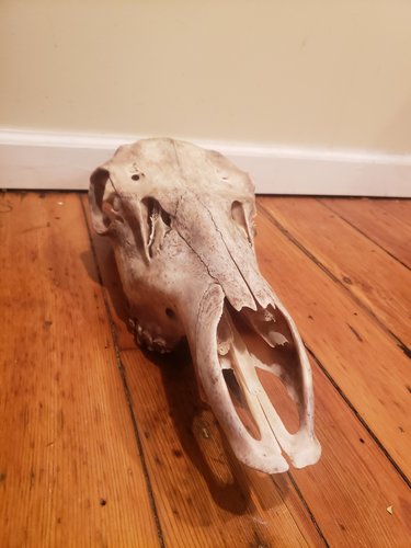 20191120_193131.jpg 20191120_193131.jpg
