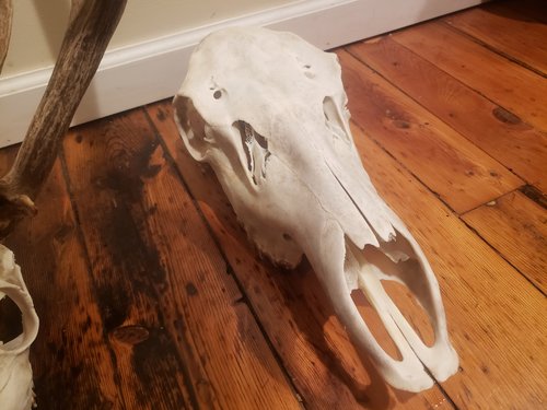 20191123_202315.jpg 20191123_202315.jpg