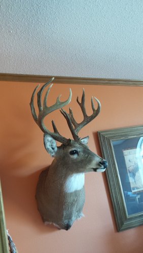20170430_113052.jpg