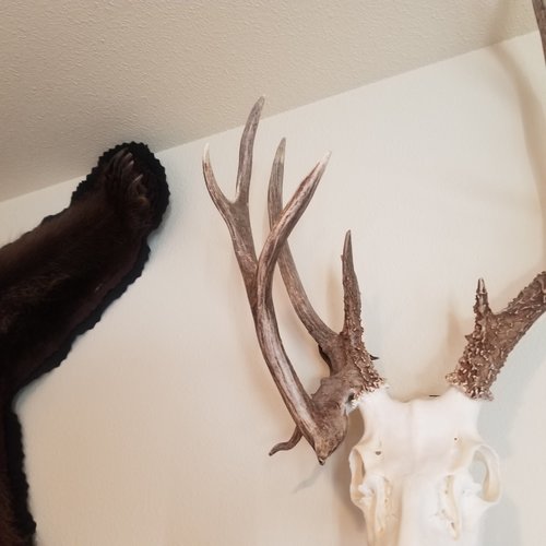 20191125_100906.jpg