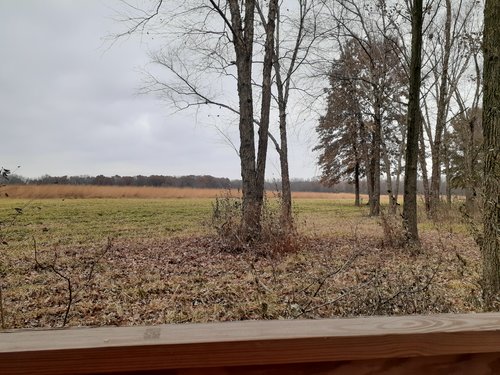20191123_130959.jpg