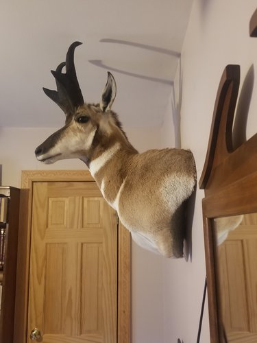 20191127_121809.jpg 20191127_121809.jpg