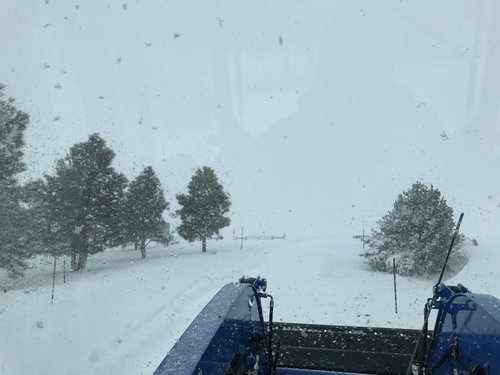 Snow 11 25 3.jpg