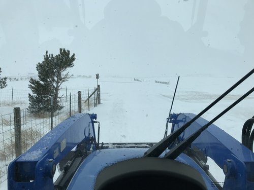 Snow 11 25 2.jpg