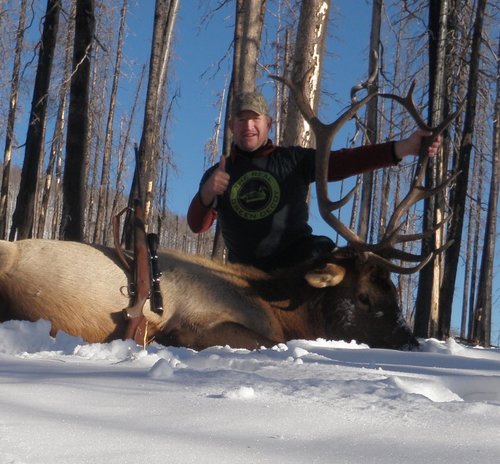 Green decoy shirt elk.jpg