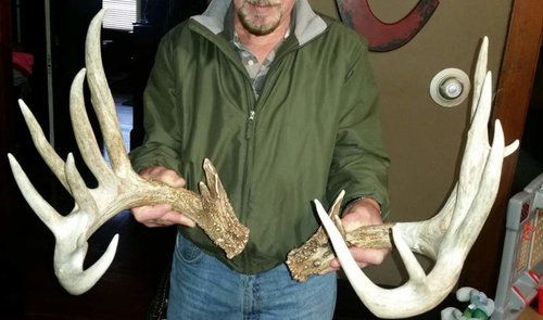 big sheds.jpg big sheds.jpg