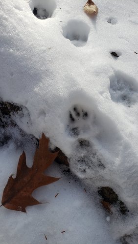 20191116_130501.jpg 20191116_130501.jpg