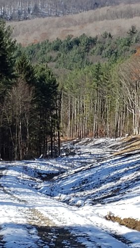 20191117_113818.jpg 20191117_113818.jpg