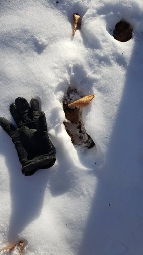 20191117_100121.jpg 20191117_100121.jpg