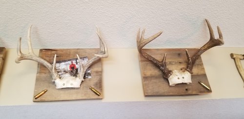 20191204_124244.jpg