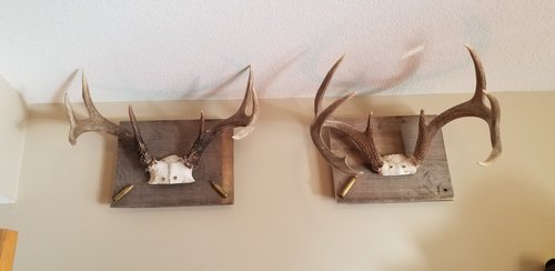 20191204_124252.jpg 20191204_124252.jpg