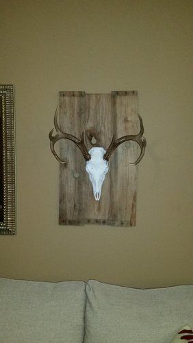 20170223_175055.jpg 20170223_175055.jpg