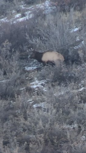 2FDD62FE-349D-4CB7-ABFF-E8761DF951BE.jpeg 2FDD62FE-349D-4CB7-ABFF-E8761DF951BE.jpeg