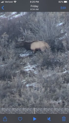 38D52F61-90C2-455C-9587-DF15649A631C.jpeg 38D52F61-90C2-455C-9587-DF15649A631C.jpeg