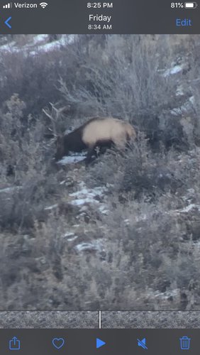 3A58055D-6D8B-4734-9046-4848B44991DA.jpeg 3A58055D-6D8B-4734-9046-4848B44991DA.jpeg