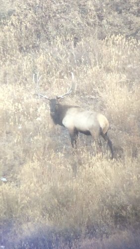 F87A1C2B-9B4B-4D4B-886D-692209A9A1F9.jpeg F87A1C2B-9B4B-4D4B-886D-692209A9A1F9.jpeg